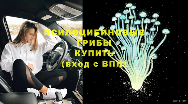 тгк Карпинск