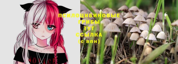 наркотики Алексеевка