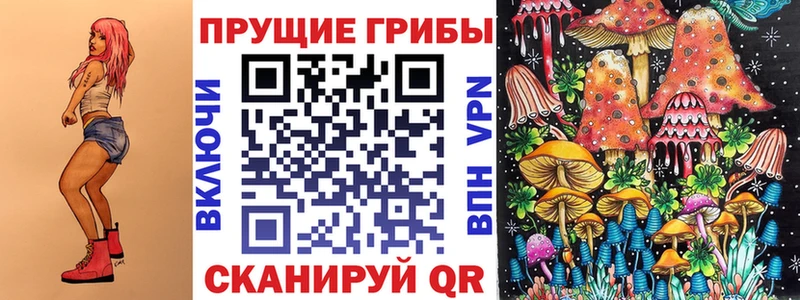 Псилоцибиновые грибы MAGIC MUSHROOMS  где купить наркоту  ссылка на мегу как войти  Сельцо 